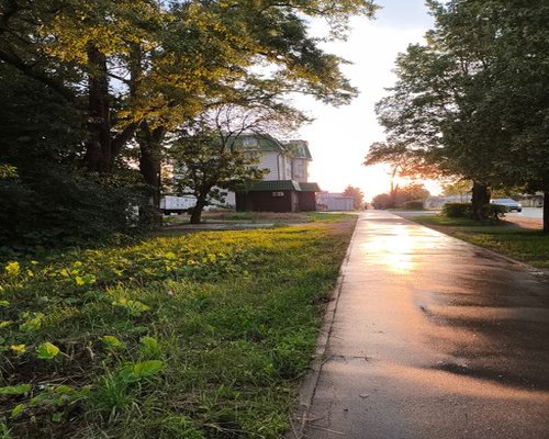 A calm evening walk in a residential neighborhood